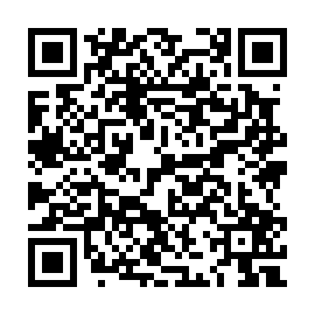 QR code for LJY0077
