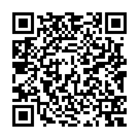 QR code for LKL0335
