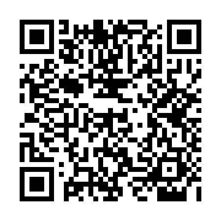 QR code for LLC3833