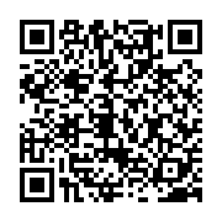 QR code for LLG1091