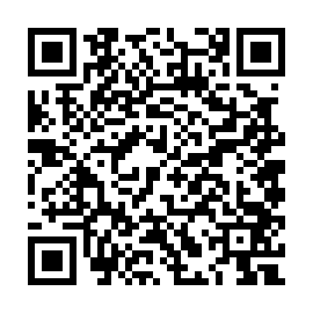 QR code for LLV0438