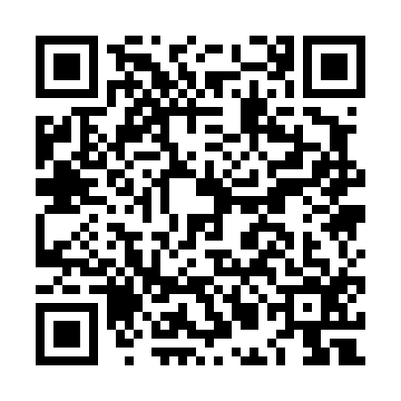 QR code for LMA4160