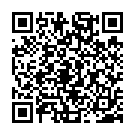 QR code for LMO6138