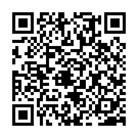 QR code for LMV1294