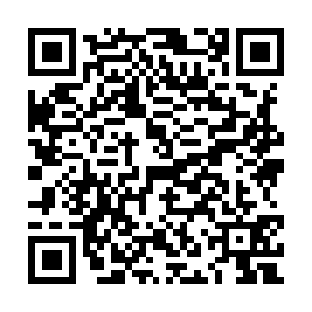 QR code for LNY9310