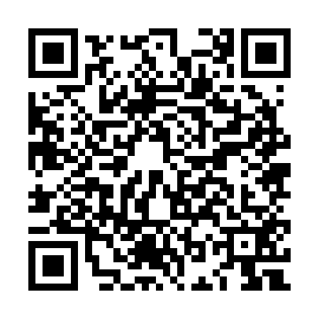 QR code for LOZ2528