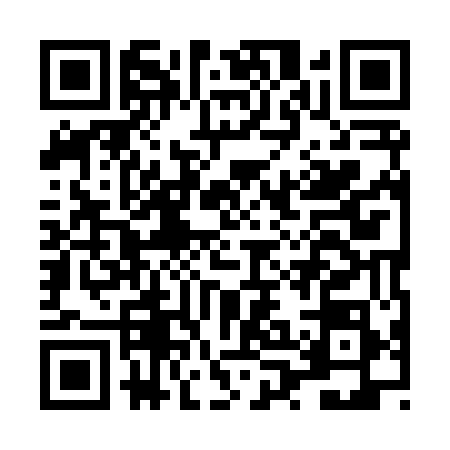 QR code for LPI8581