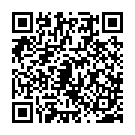 QR code for LPX2833