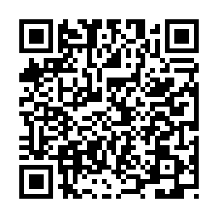 QR code for LQD0411