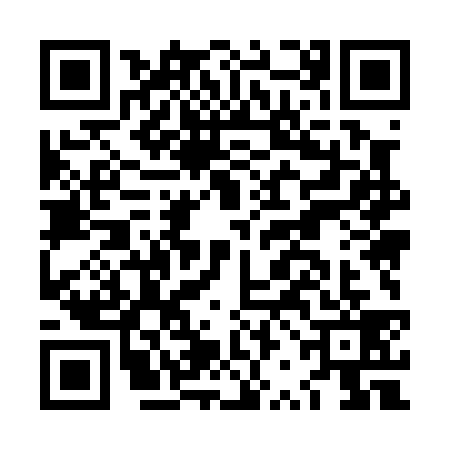 QR code for LRM0391