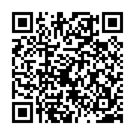 QR code for LSG0367