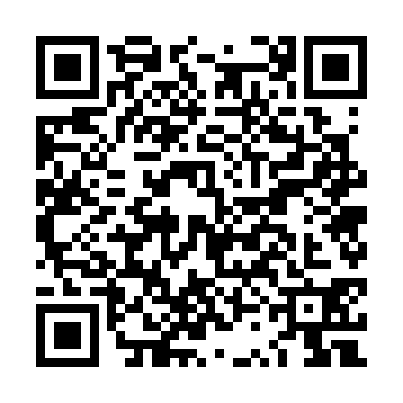 QR code for LSG3309