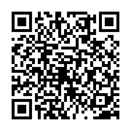 QR code for LSI1593
