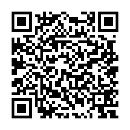 QR code for LUE0594