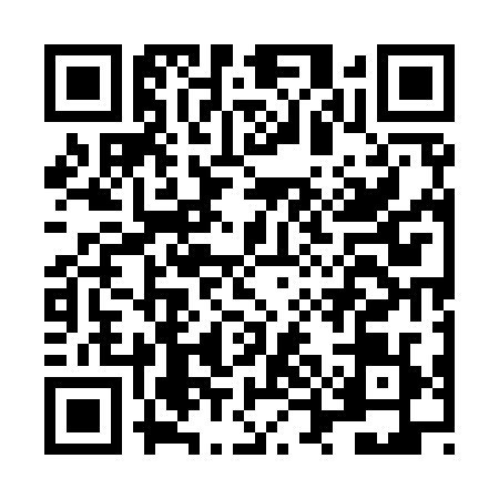 QR code for LUE9295