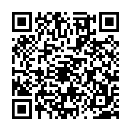 QR code for LUL0161