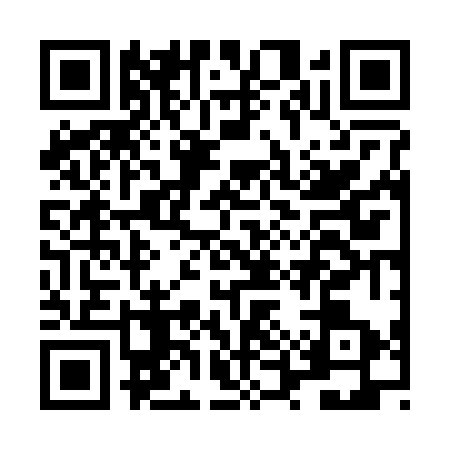 QR code for LUV2739