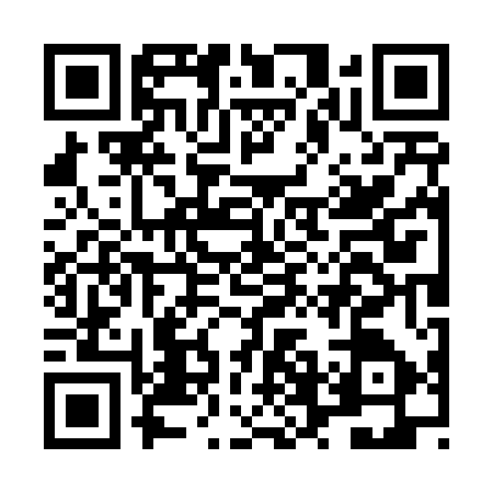 QR code for LVO4579