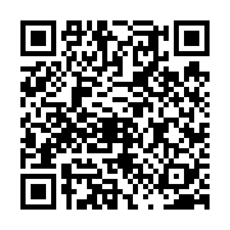 QR code for LVV6298
