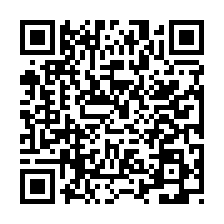 QR code for LXN1981