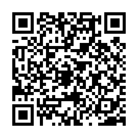 QR code for LYS4396