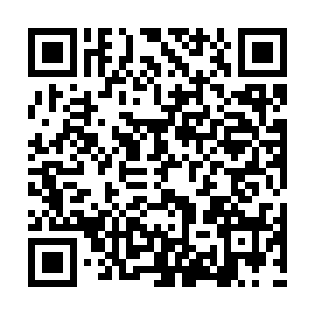 QR code for LYY3384