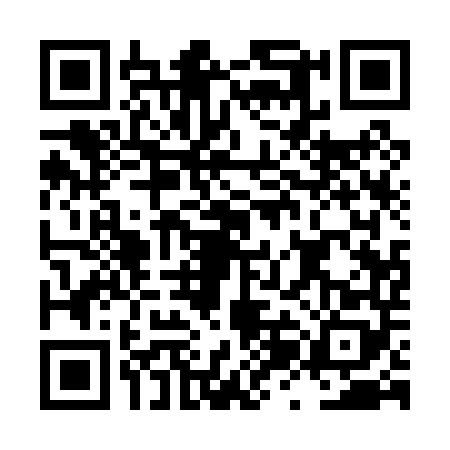 QR code for LZA0489