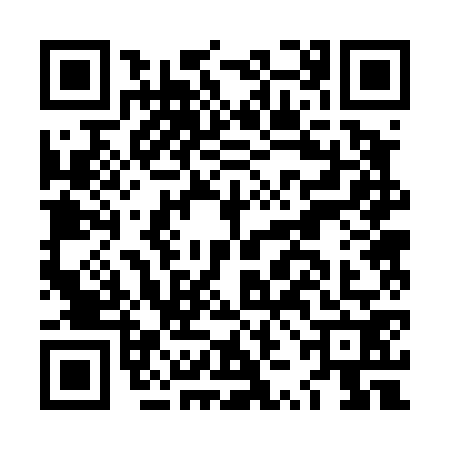 QR code for LZB4729