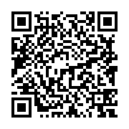 QR code for LZL8383