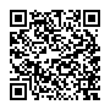 QR code for LZW2493