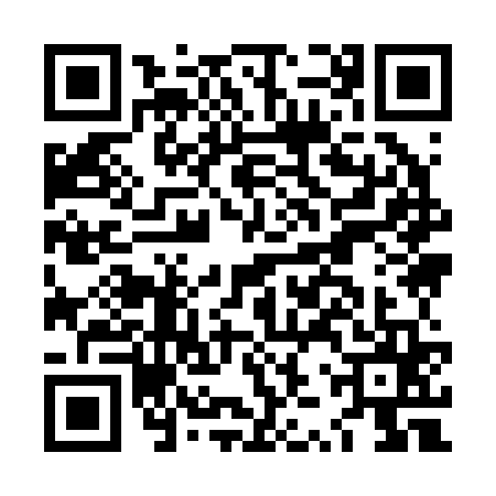 QR code for LZY2656