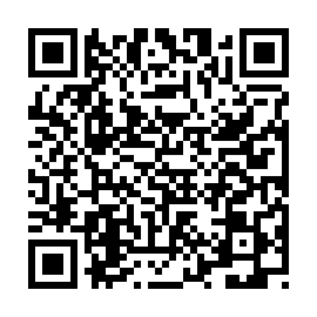 QR code for LZZ2895