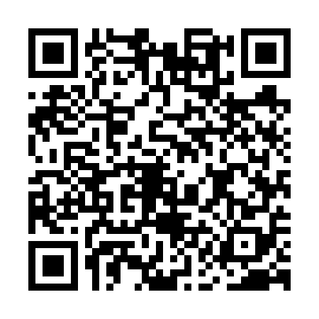 QR code for MAM6581