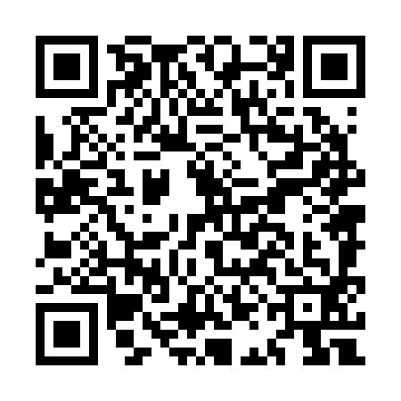 QR code for MAN2929