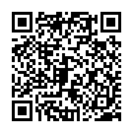 QR code for MAS2937
