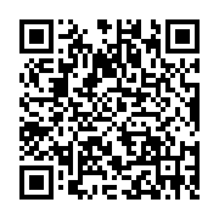 QR code for MCH0160