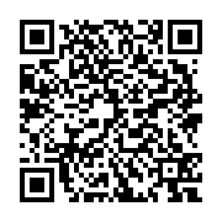 QR code for MDI6333