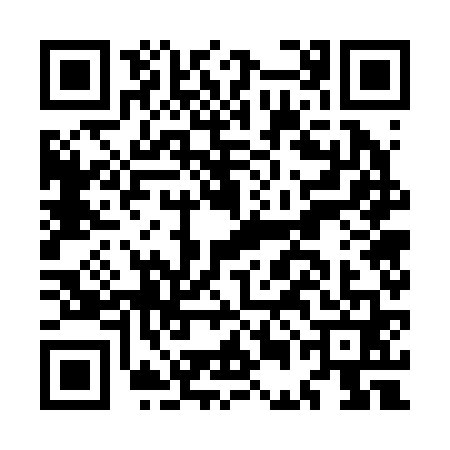QR code for MEG2617