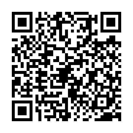QR code for MFE6419
