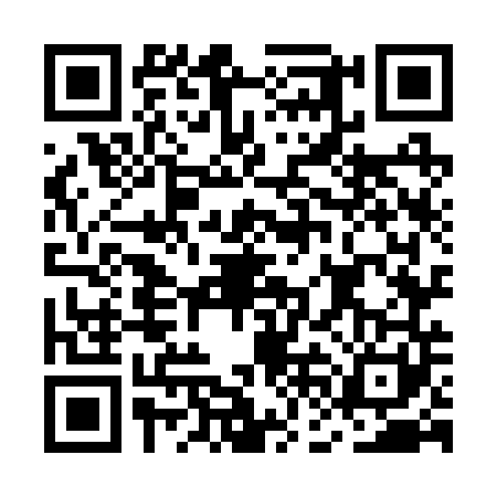 QR code for MFO2411