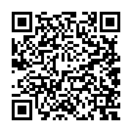 QR code for MFV8033