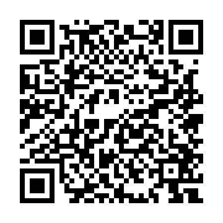 QR code for MIE1461