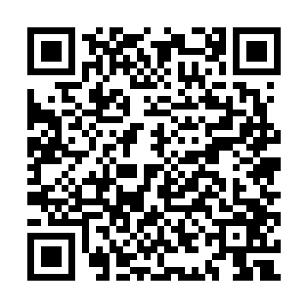 QR code for MIE6461