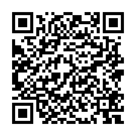 QR code for MII5095