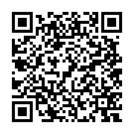 QR code for MIR4779