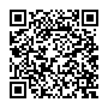 QR code for MIR7079