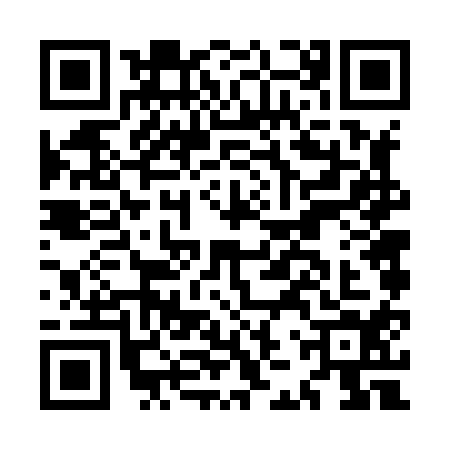 QR code for MJV8141