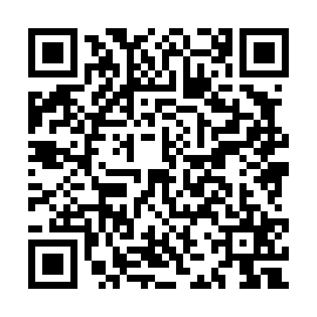 QR code for MJX4252