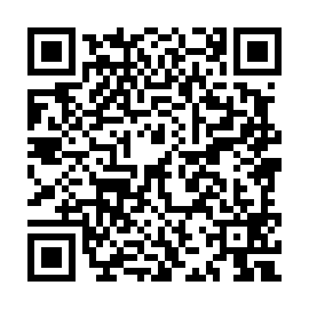 QR code for MJX4991