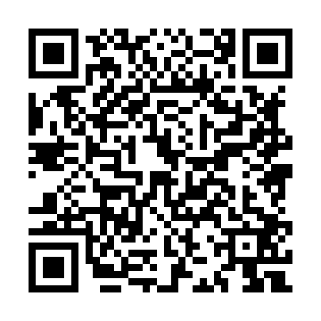 QR code for MJX8029